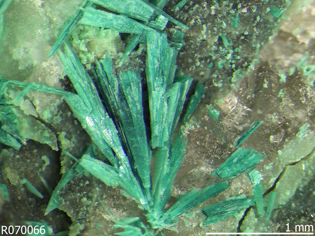 Beautiful new emerald-green mineral described from Cornwall
