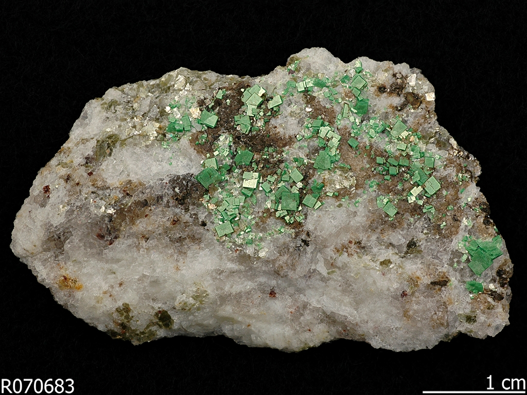 Metatorbernite R070683 - RRUFF Database: Raman, X-ray Metatorbernite R070683 - RRUFF Database: Raman, X-ray