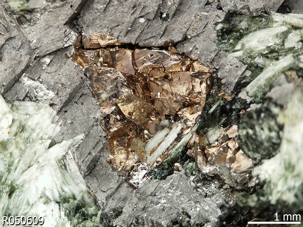 Polydymite R050609 - RRUFF Database: Raman, X-ray, Infrared